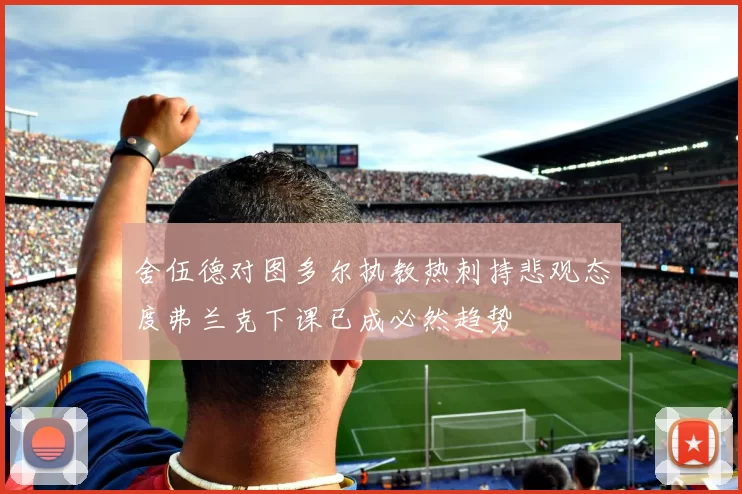 舍伍德对图多尔执教热刺持悲观态度弗兰克下课已成必然趋势