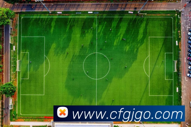 数据分析功能